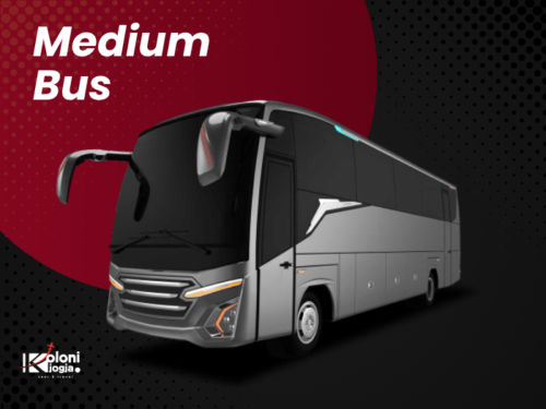 Medium Bus
